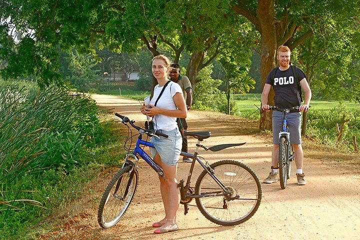 Cycling Expedition in Yala from Hambantota Harbor - Photo 1 of 5